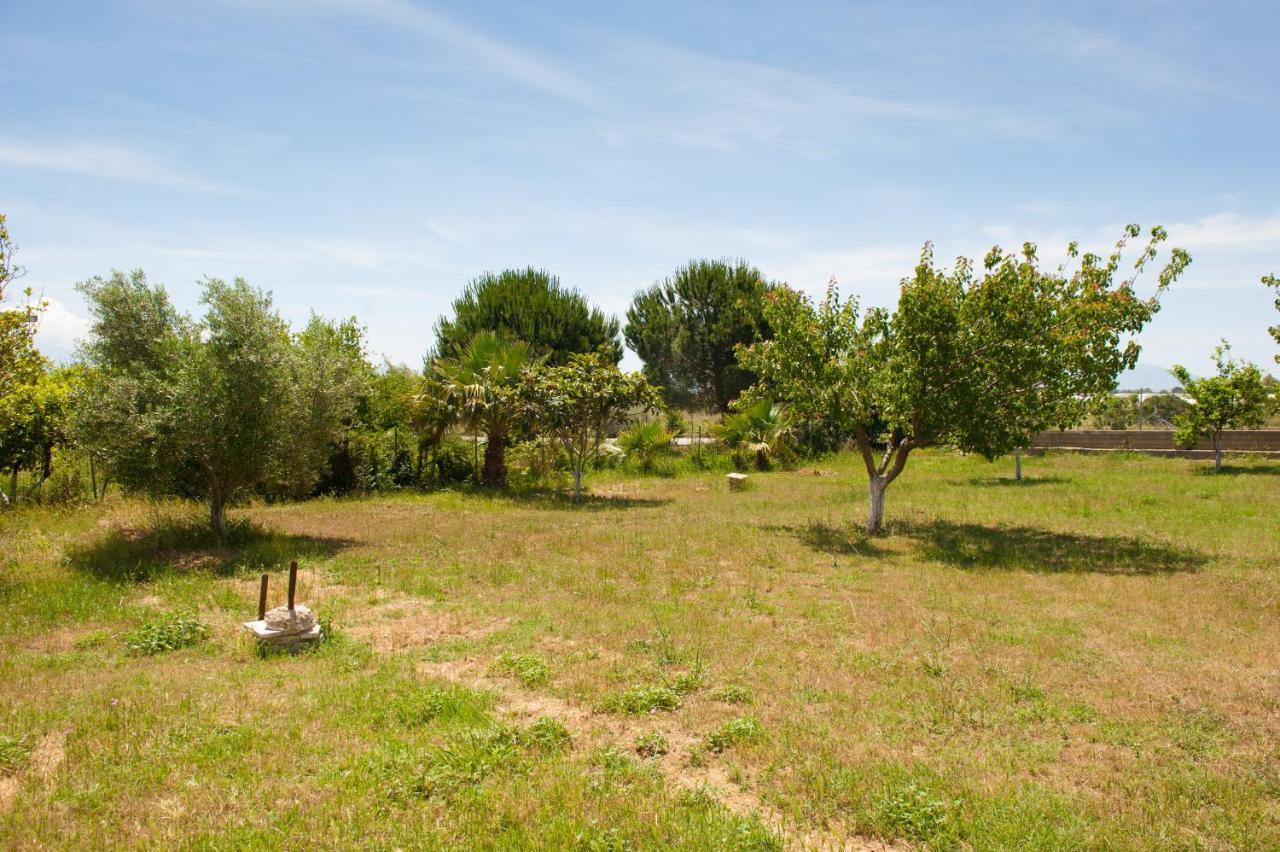 פרבזה Olives Estate Apartments Grande מראה חיצוני תמונה